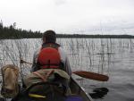 Paddling in the Reeds.