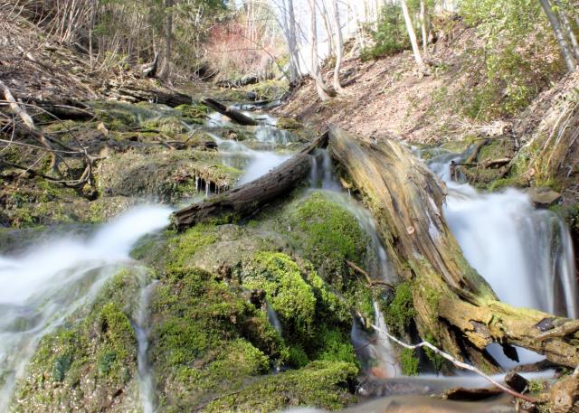 Along the cascade trail